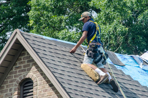 Best Roof Repair Services  in Escatawpa, MS