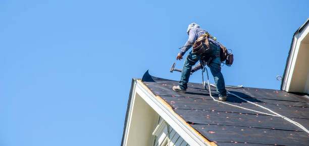Best Shingle Roofing Installation  in Escatawpa, MS